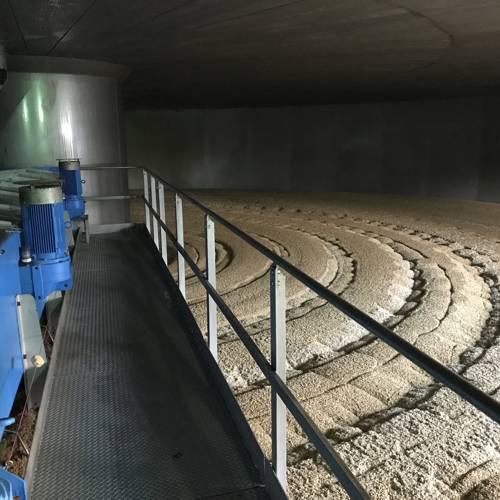 Malting Process