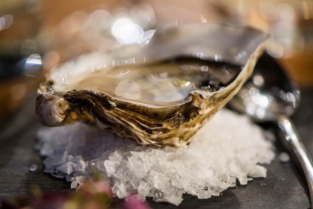 Loch Fyne Oysters during a Private dining experience